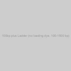 Image of 100bp plus Ladder (no loading dye, 100-1500 bp)